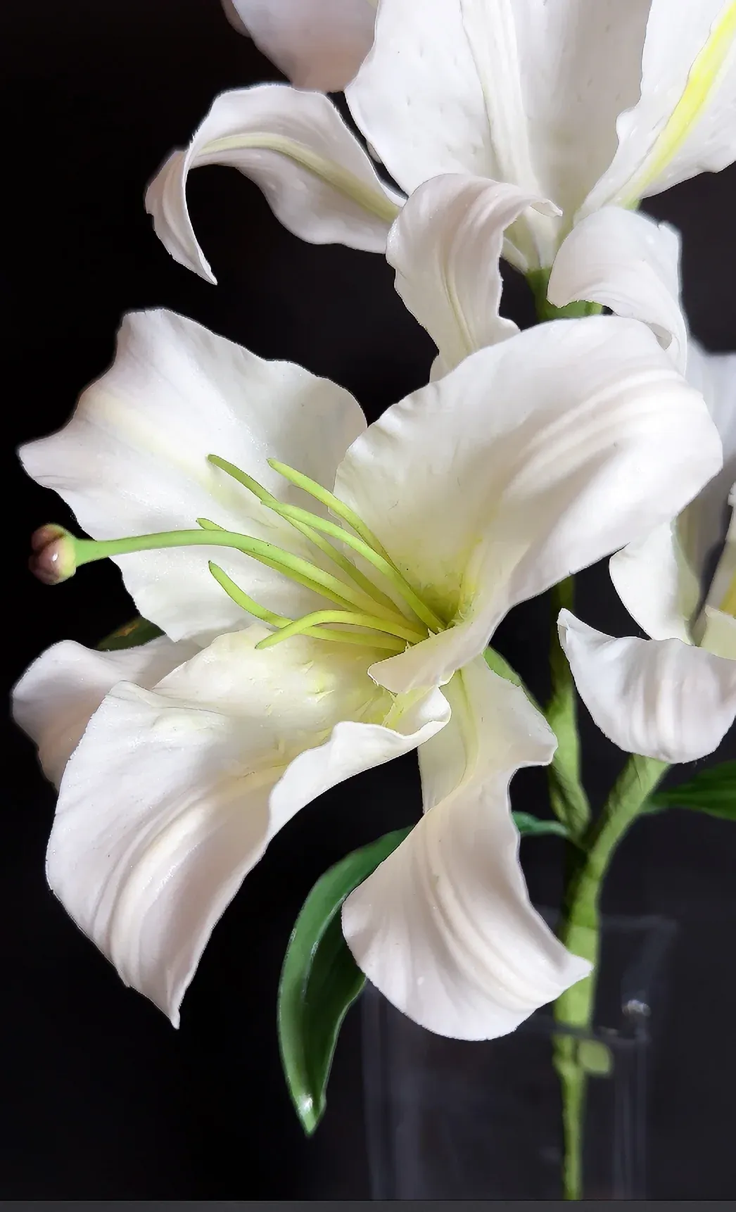 カサブランカ 作品写真2